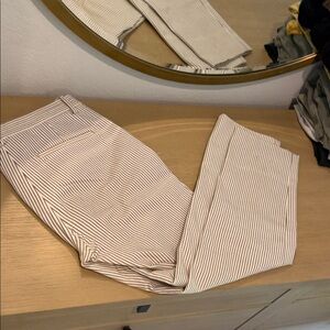 Women’s Theory Pants